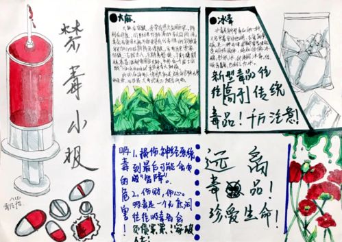 無毒青春 健康生活 福州教院二附中開展6.26禁毒教育活動(dòng)