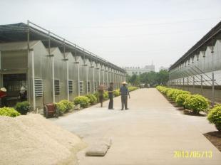 福州陽(yáng)光板溫室|廈門(mén)黑土農(nóng)業(yè)科技_農(nóng)副產(chǎn)品_世界工廠網(wǎng)