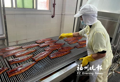 長樂全力打造“海上糧倉” 研發(fā)水產(chǎn)品預(yù)制菜，提升福州海蚌產(chǎn)業(yè)影響力